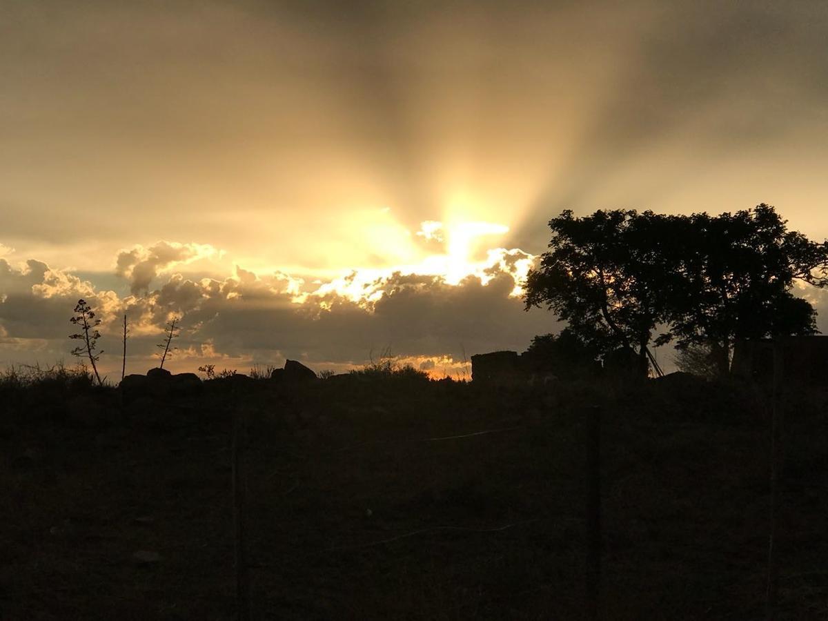 Morning Glory Cottages Venterstad Exteriér fotografie