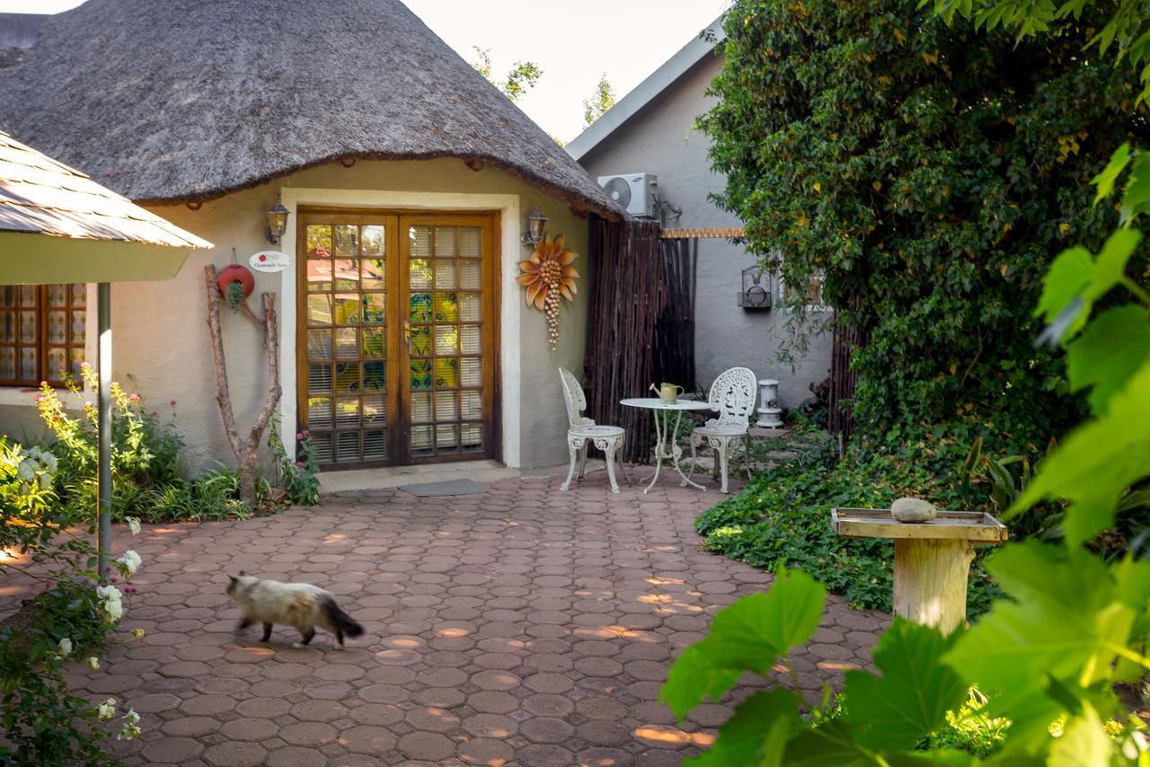 Morning Glory Cottages Venterstad Exteriér fotografie